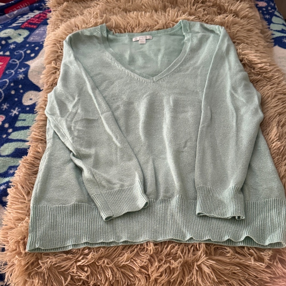 New York & Company Mint V-Neck Sweater